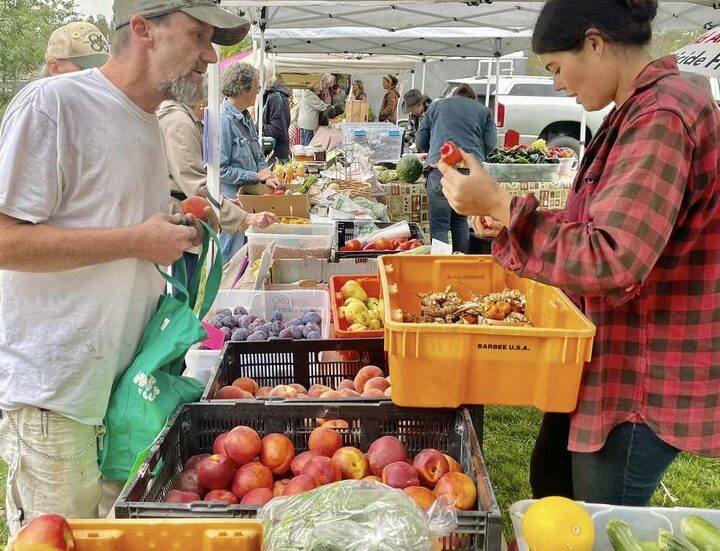 Vendors Archive - Donnelly Farmers Market